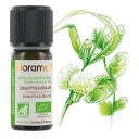 Florame organiska eikalipta ēteriskā eļļa, 10ml